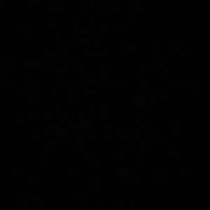 Meet your Posher, Zack